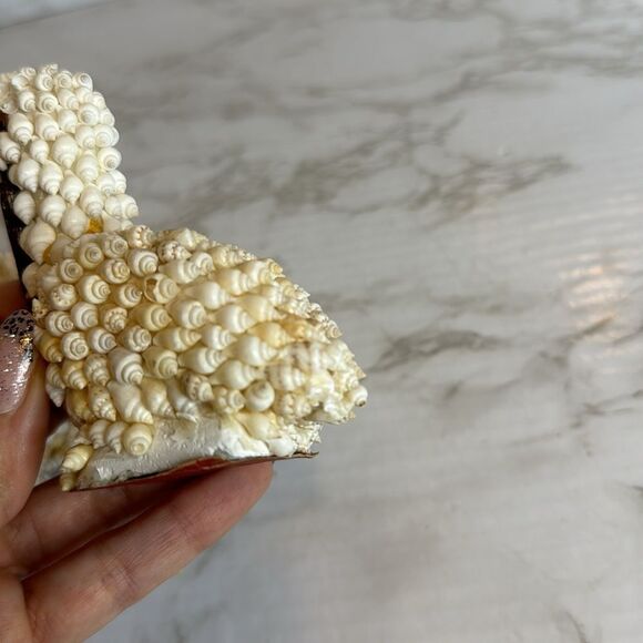 Vtg bird of shells sea shell folk art decor - Picture 7 of 8